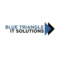 Blue Triangle IT Inc.