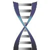 Carolina BioOncology Institute Carolina BioOncology Institute