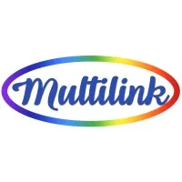 Multilink Computers