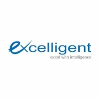 Excelligent Corporate Services Pvt Ltd