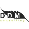 DDM Consulting DDM Consulting