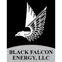 Black Falcon Energy LLC