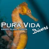 Pura Vida Divers