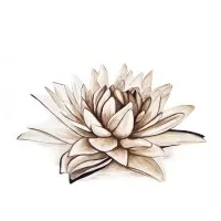 Snow Lotus - Institute for Mindfulness