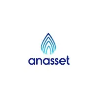 Anasset Company Ltd Anasset Company Ltd