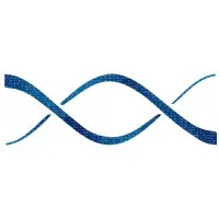 Digital Network Access Inc.