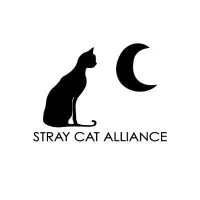Stray Cat Alliance Stray Cat Alliance