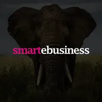 smartebusiness - Ecommerce Growth Specialists