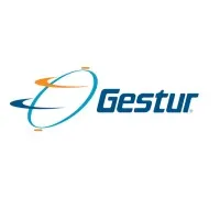 Gestur Gestur