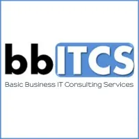 Basic Business IT Consulting Services