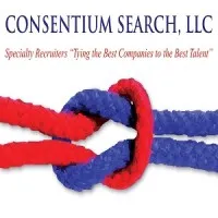 Consentium Search, THE Environmental, Health and Safety Recruiters (EHS Recruiters)