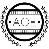 Association of Computer Engineers (ACE), SVCE
