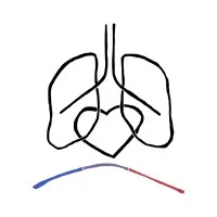 Health & Human Performance Foundation