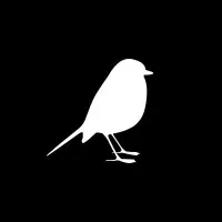 Vireo Creative