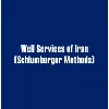 Well Services of Iran Well Services of Iran
