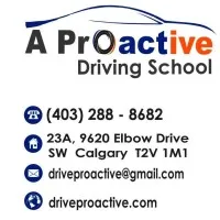 A Proactive Driving School and Traffic Safety Consulting Ltd.