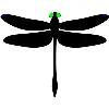 Odonata Research LLC