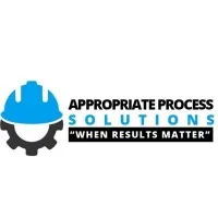 Appropriate Process Solutions Appropriate Process Solutions