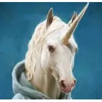 Unicorn Advisory