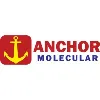 Anchor Molecular Anchor Molecular