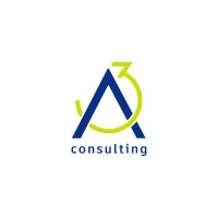 A3 Consulting