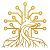 VISLYS SYSTEMS INC. VISLYS SYSTEMS INC.