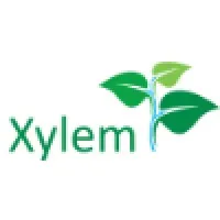 Xylem Trees