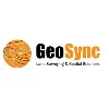 GeoSync GeoSync