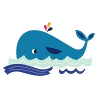 Surf Solutions San Francisco, United States Surf Solutions San Francisco, United States