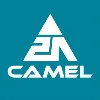 SHENZHEN CAMEL DIE LIMITED SHENZHEN CAMEL DIE LIMITED