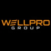 Wellpro Group
