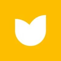 Matter Brand+Creative