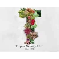 Tropica Nursery LLP