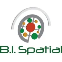 B. I. Spatial B. I. Spatial