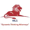 TLi Group | Mashabane Liebenberg Sebola Inc