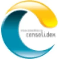 Consolidex Inc