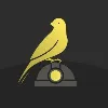 Canary Canary