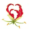 Flame of Africa