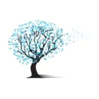 Wellspring Behavioral Health