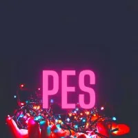 PES Electrical Pvt. Ltd.