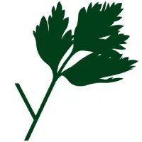 Parsley Software office