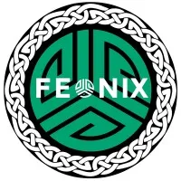 Feonix IT Solutions Feonix IT Solutions