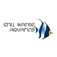 Still Water Aquatics (ADA India) Still Water Aquatics (ADA India)