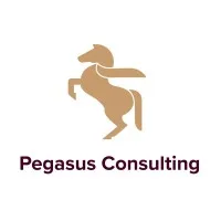 Pegasus Consulting, LLC