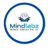 Mindlabz Software Solutions Pvt.Ltd
