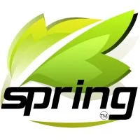 SPRING HOLDING GROUP INC SPRING HOLDING GROUP INC