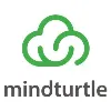mindturtle