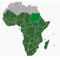 Access Emerging Markets