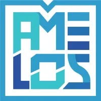 Amelos Interactive email format