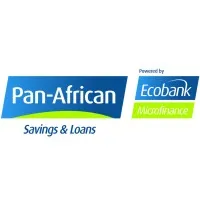 Panafrican Savings and Loans Cameroon SA